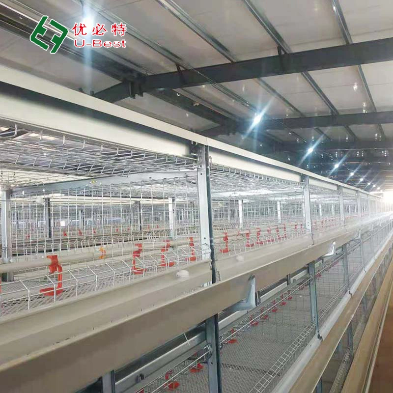 Automatic H/a Type Bird Broiler Chicken Battery Breeding Cages for Poultry Farm