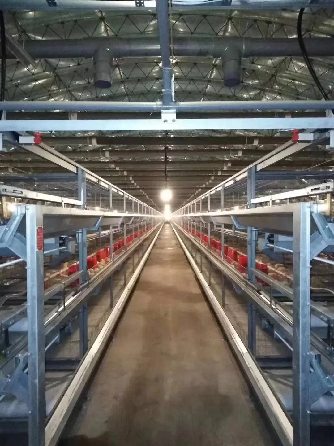 Automatischer Huhn-Rahmen für Geflügelfarm-Gerät