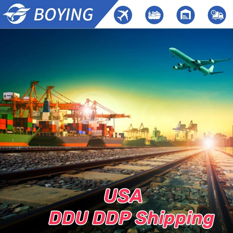 Professional Sea Freight From China to USA DDU/DDP Shipping