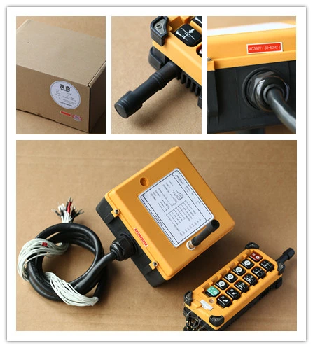 Latest Factory Made Professional Remote Controller Electric Hoist