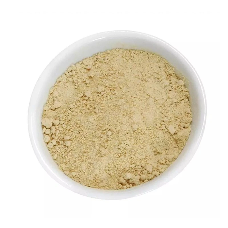 Water Soluble Bulk Pure Organic Dried Ginger Extract Ginger Powder