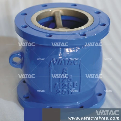 Cast Iron Flange Connection Nozzle Check Valve