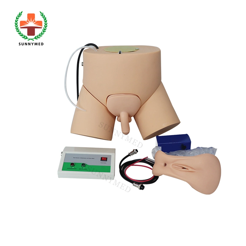 Sy-N04504 Good Quality Electronic Urethral Catheterization and Enema Training Manikin