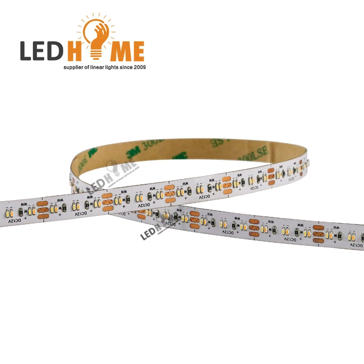 24V Dimmerble Flexible LED Strip with 240 LED Light and Lamp