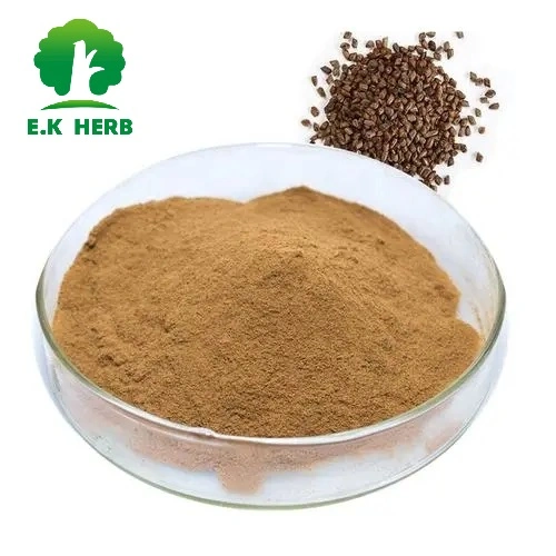 E. K Herb Factory Directly Supply Improving Eyesight Plant Extract 100%Natural Cassia Seed Extract 4: 1~20: 1 Jue Mingzi Herbal Extract