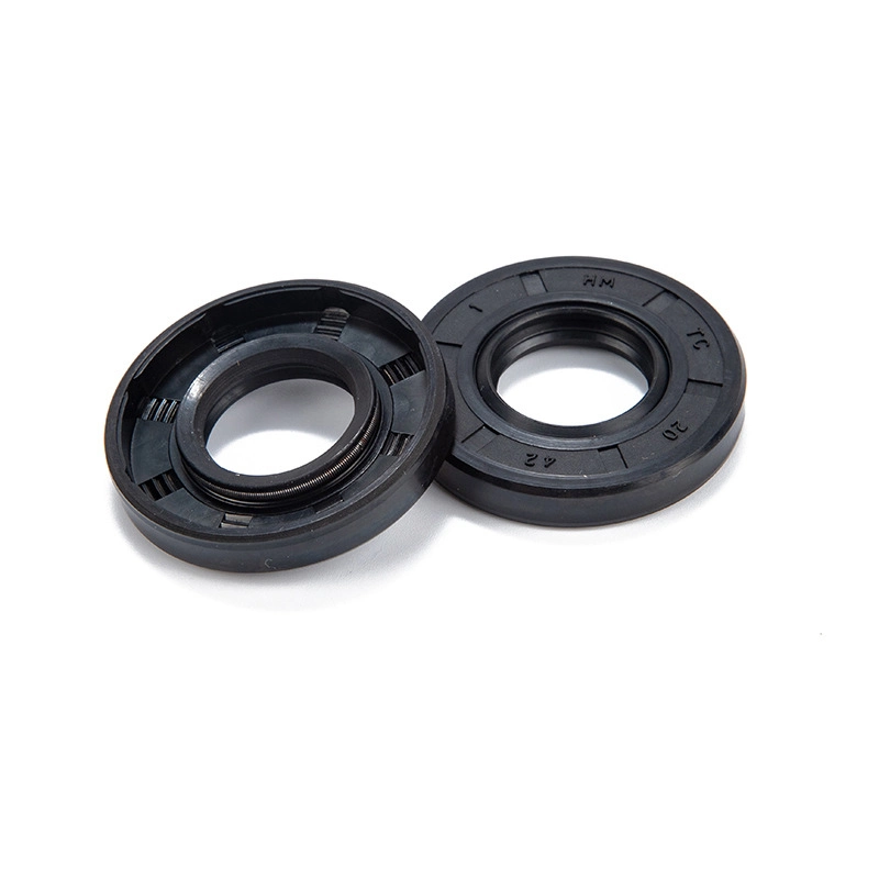 Electric Vehicle Motor Bearing Rubber Skeleton Tc NBR FKM Oil Seal Wholesale/Supplier Seal Ring Washing Machine Waterproof Oil Seal Dustproof Rubber Sealing O Ring Seal