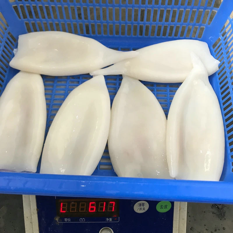 Seafood Fish Todarodes Frozen Squid Tubes Tubo De Calamar Illex Congelado