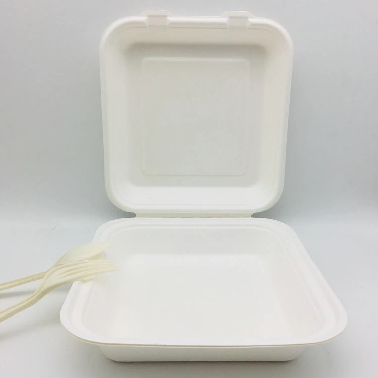 Wholesale/Supplier 3 Compostable Custom Logo Paper Bagasse Lunch Box