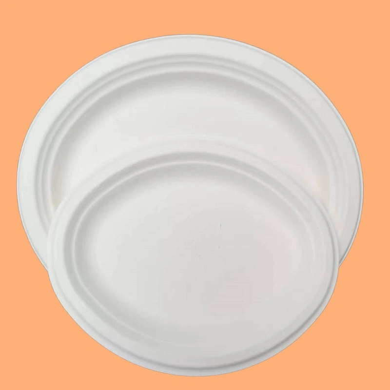 Biodegradable Degradable Disposable Compostable Eco Friendly Sugarcane Bagasse Dinner Plate Cake Plate