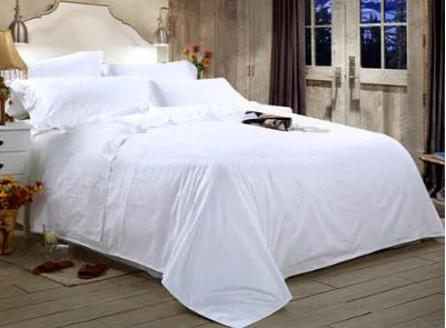 Ensemble de draps de lit en lin 100% taille queen parfait pour les soins de la peau.
