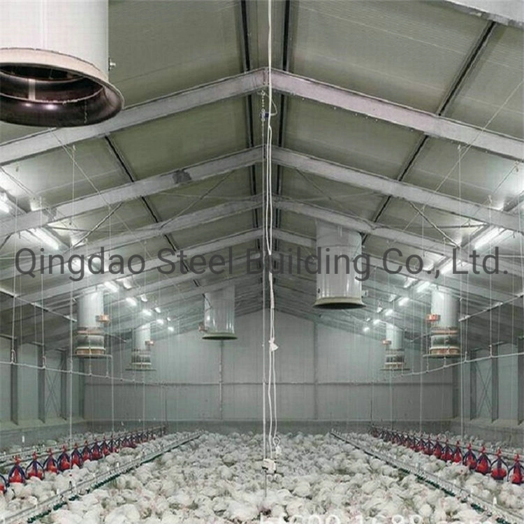 Prefab Light Steel Stucture Chicken Poultry House Shed Building/Steel Structure Poultry Farm House