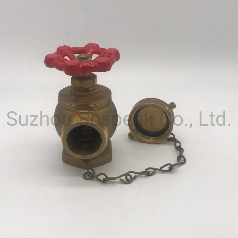 Fire Landing Valve Storz Type Fire Hydrant