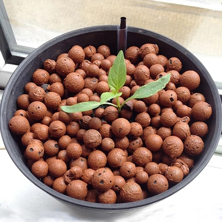 Agriculture Expanded Clay Pebbles Hydroponic Expanded Clay Pellets Farm Planting