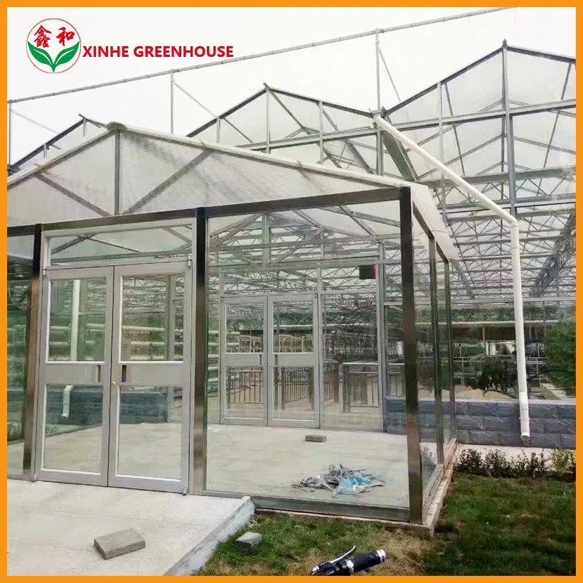 Low Cost Agricultural Hydroponic Grwoing System Glass Greenhouse