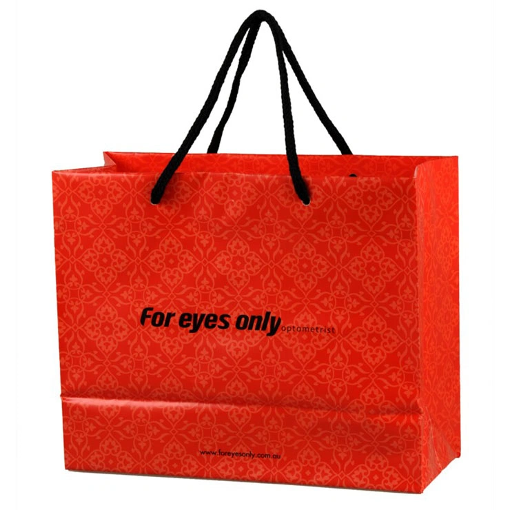 PVC Printed String Handle Bags for Shopping (FLS-8041)