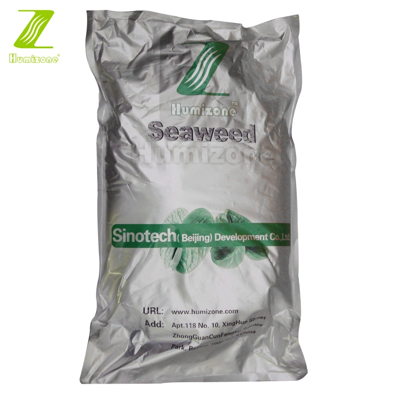 Alginic Fertilizer Sargassum Brown Algae Natural Plant Nutrients Seaweed Extract