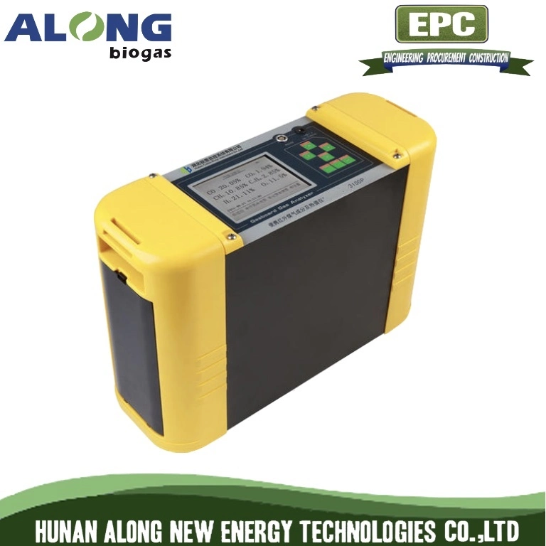 Portable Biogas Co/CO2/CH4/H2/O2c2h2/C2h4//Cnhm*/H2s Analyzer Detector