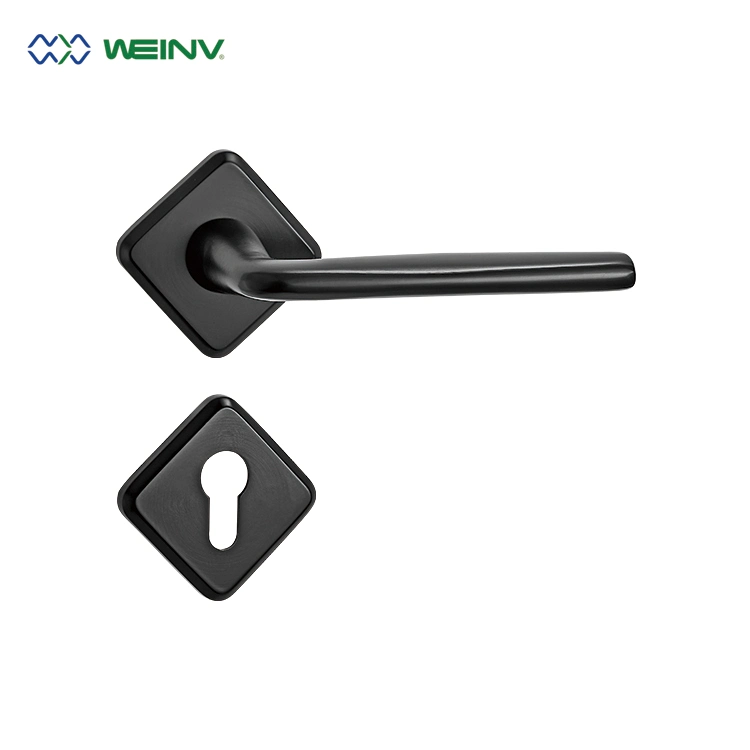 Precision Casting Stainless Steel Door Handle Lcok