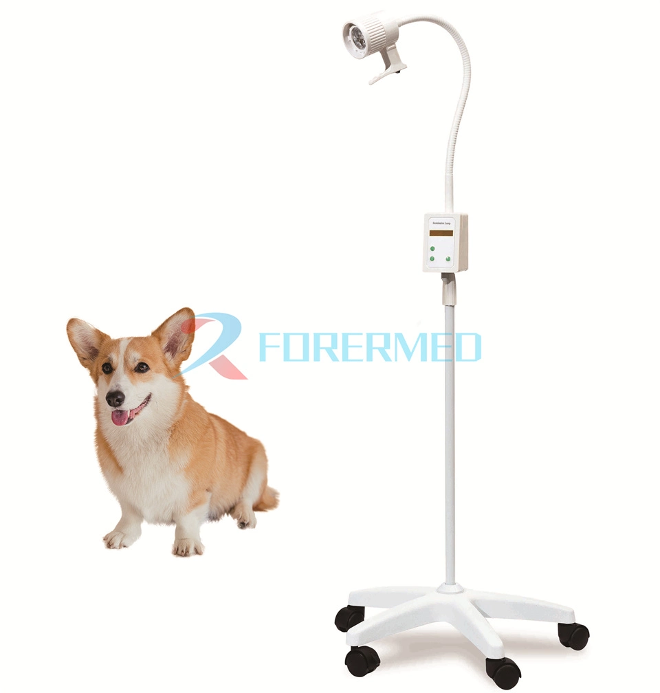 Examination Lamp Emergency Light Medical Mobile LED Surgical Lamp