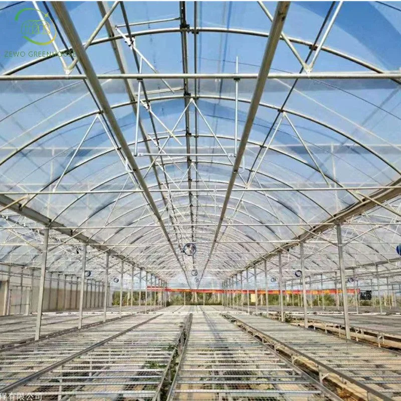 I Beam Steel Structural Square Box Stand Column for Steel Structure PE/Po Film Muti-Span Greenhouse