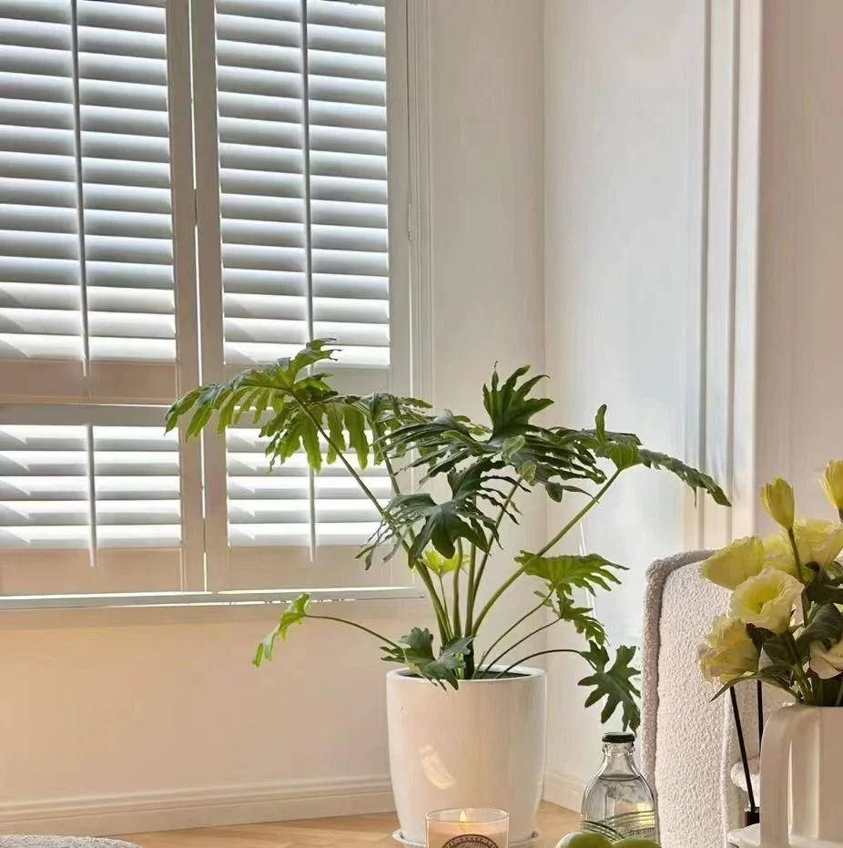 Australia America Standard PVC Vinyl Window Shutters PVC Faux Wood