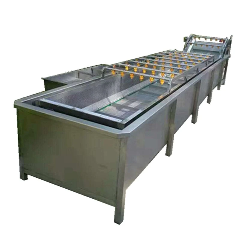 2000kg/H Carrot Tamato Washing Sorting Machine Line for Vegetable Plant
