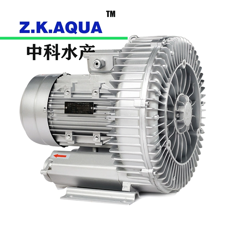 Fishery Aquatic Products, Super Blower Ex-Factory Price Blower, Stainless Steel Blower