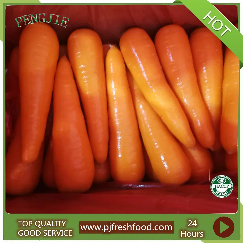 Crop Fresh Organic Washed Yellow Red Carrot