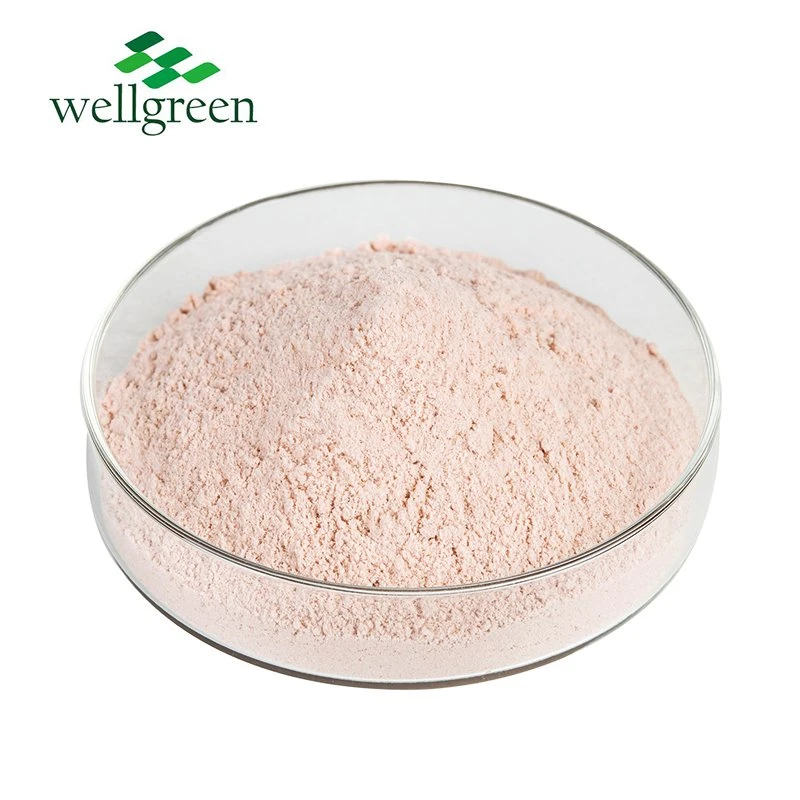 Wellgreen Best Price Free Sample Pomelo Peel Extract Shaddock Peel Powder Red Pomelo Powder