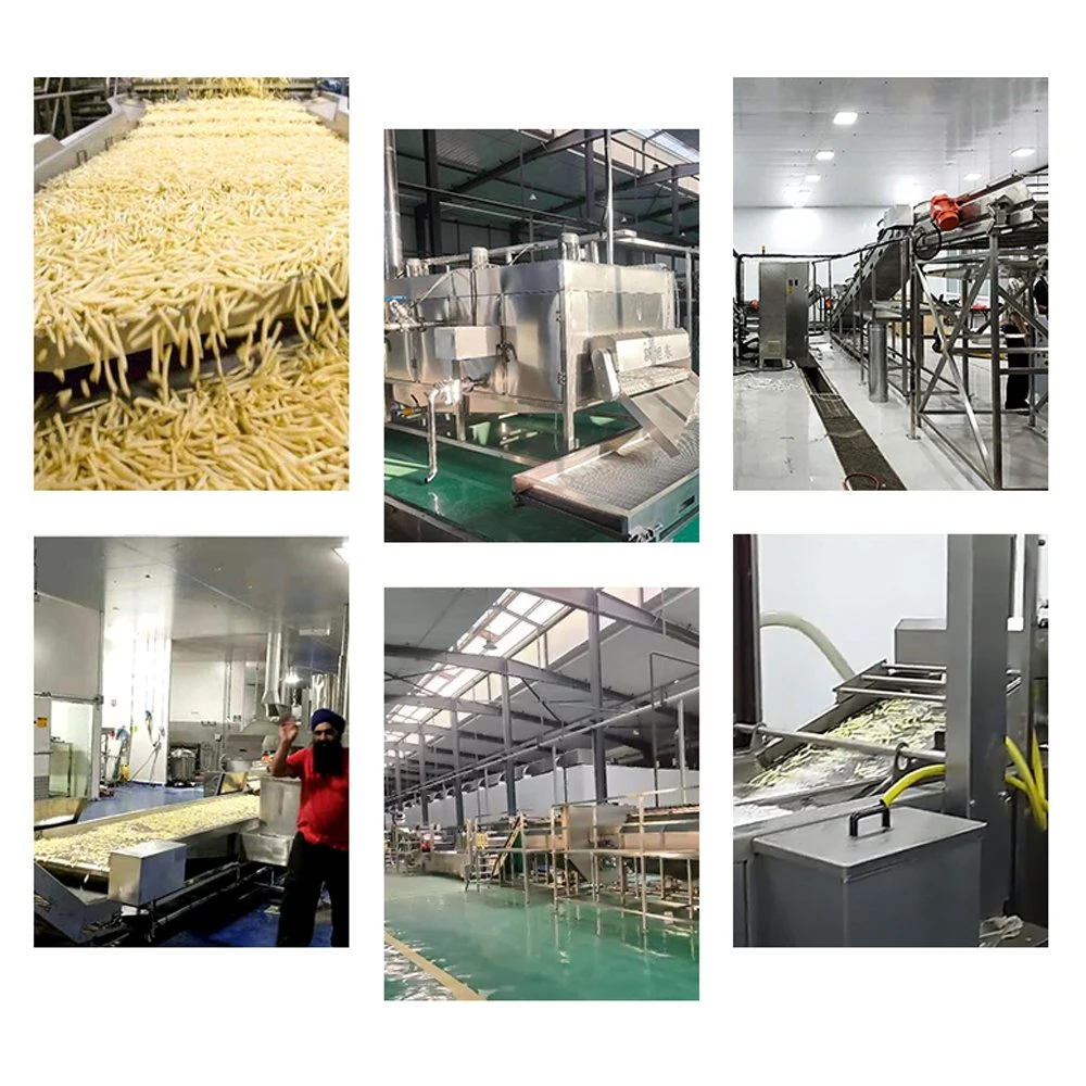 TCA Fully Automatic Steam Peeling Hydro Cutting Large Scale Frozen French Fries Making Machine Line