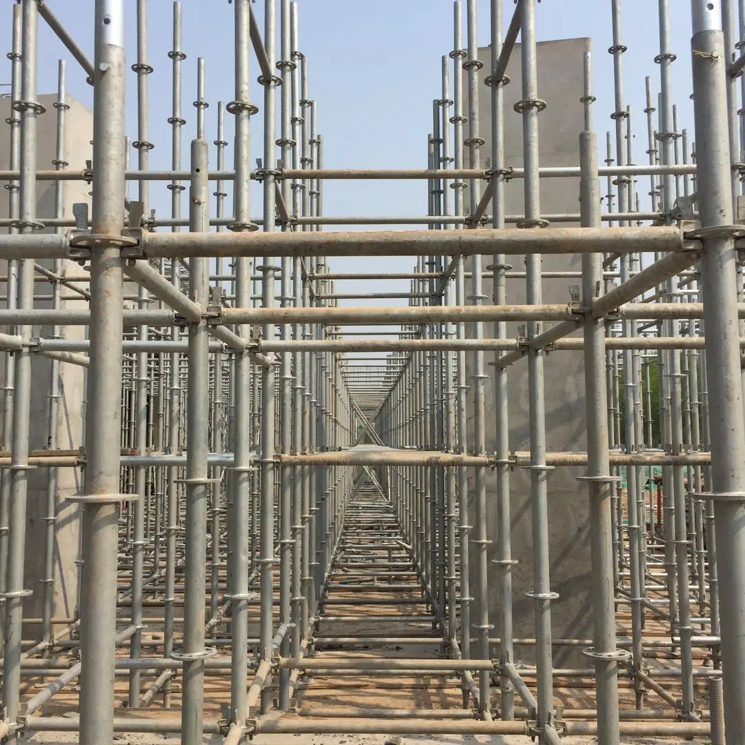 OEM Galvanized Steel Scaffolds for Ring Lock Scaffolding System