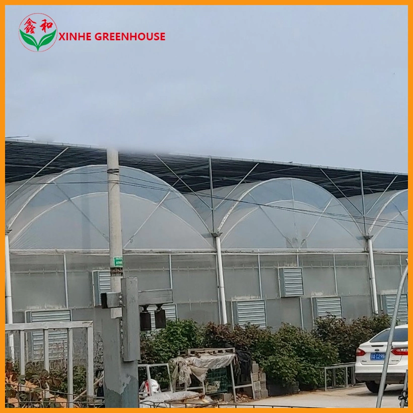 Factory Hot Galvanized Steel Frame Customized Agricultural Commercial Plastic Greenhouses Garden Greenhouse