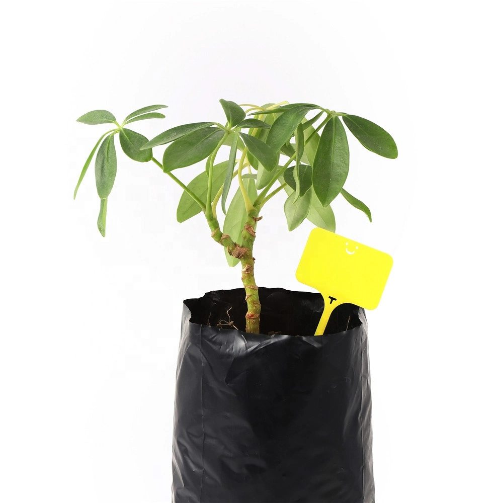 Jardín T Tipo sonrisa Etiquetas de plantas Flores Verduras Seedling impermeable Etiquetas de marcadores de plantas plásticas