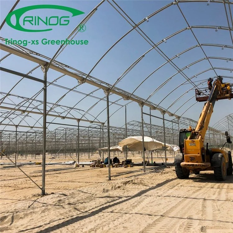 Economical Agricultural High Tech Multi-Span Film Greenhouse for Sale