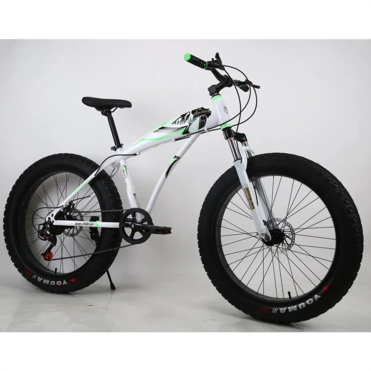 2022 Hot Selling Chinese OEM ODM Manufacturer Sports Mountain Fat Tire Mountain Bike