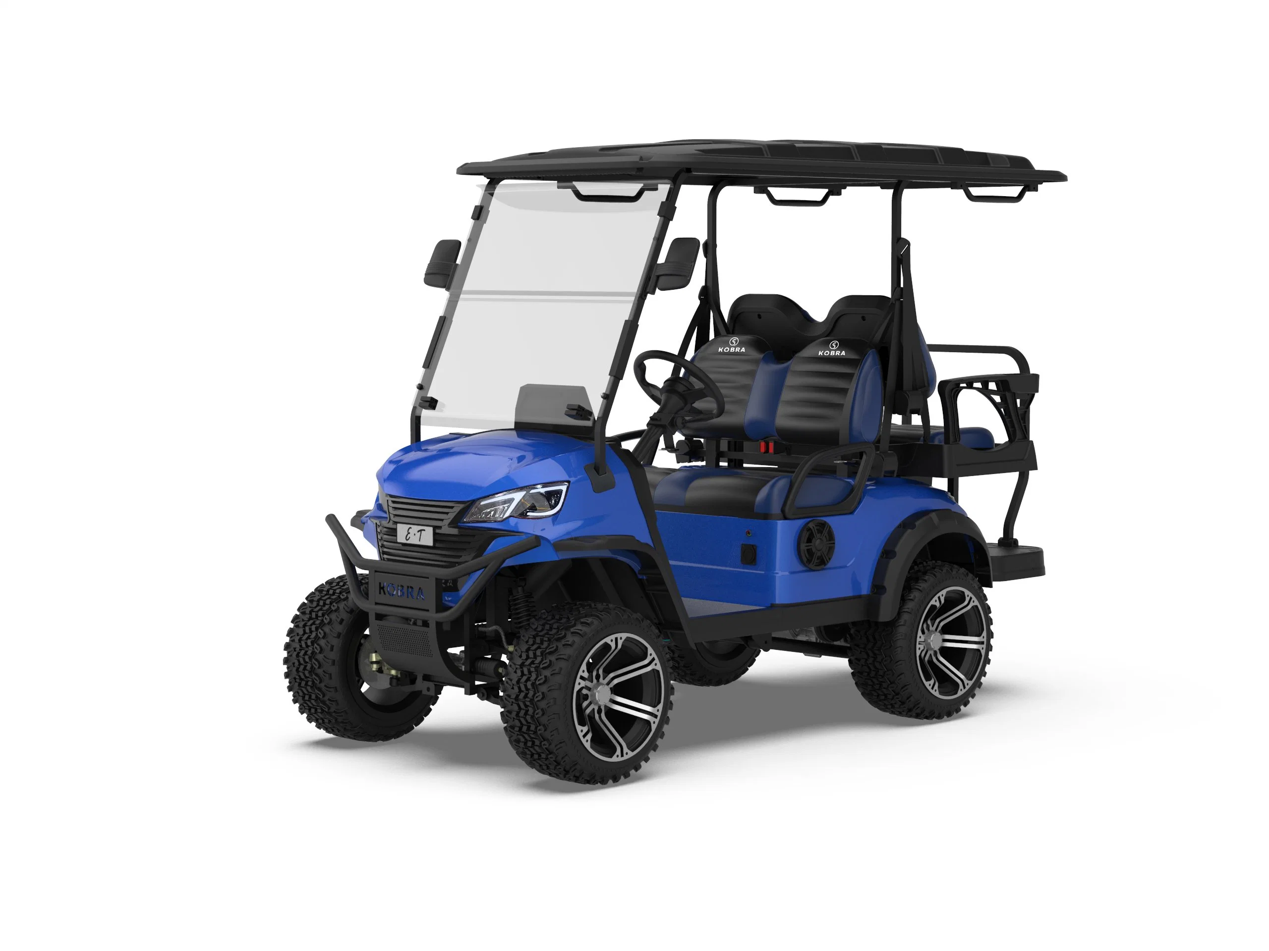 Royal 48V Back to Back Seat Battery Powered Electric Golf Carro