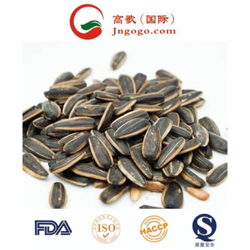 Big High quality/High cost performance Sunflower Seeds Grade 5009