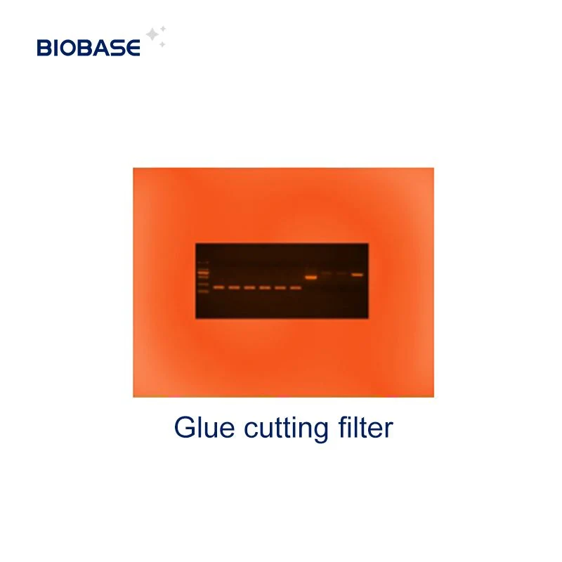 Système d'imagerie automatique de documents sur gel Biobase BK-AG100 pour laboratoire médical