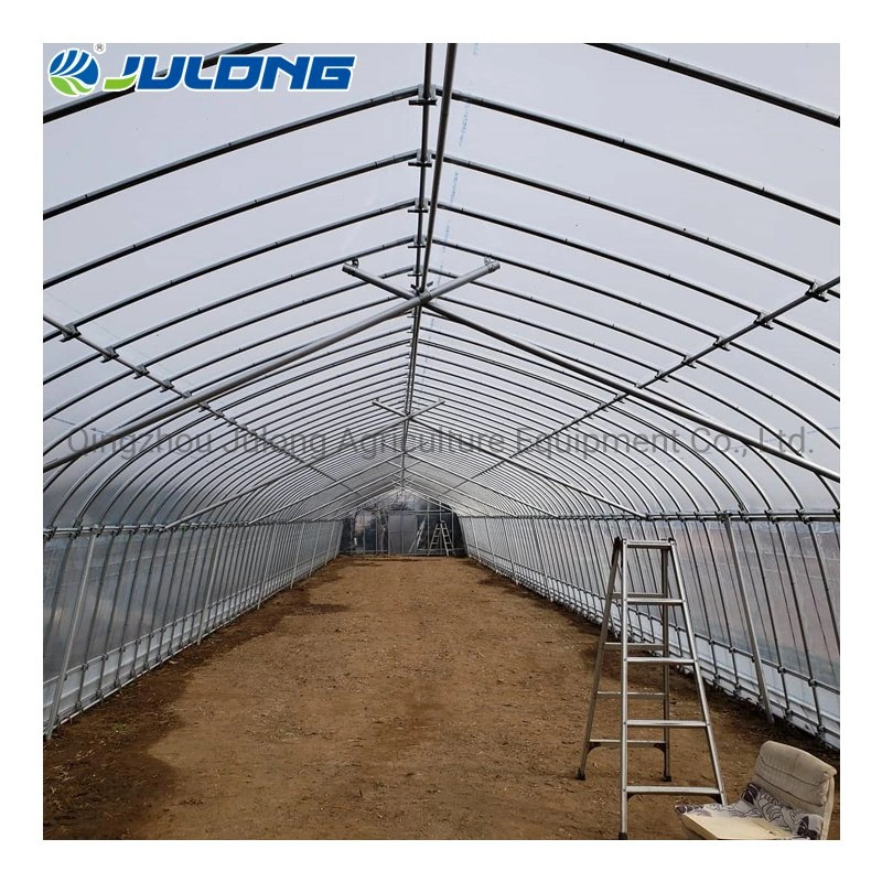 Agricultural Single Span Tunnel Plastic Film Greenhouse with Irrigation and Hydroponic Growing System