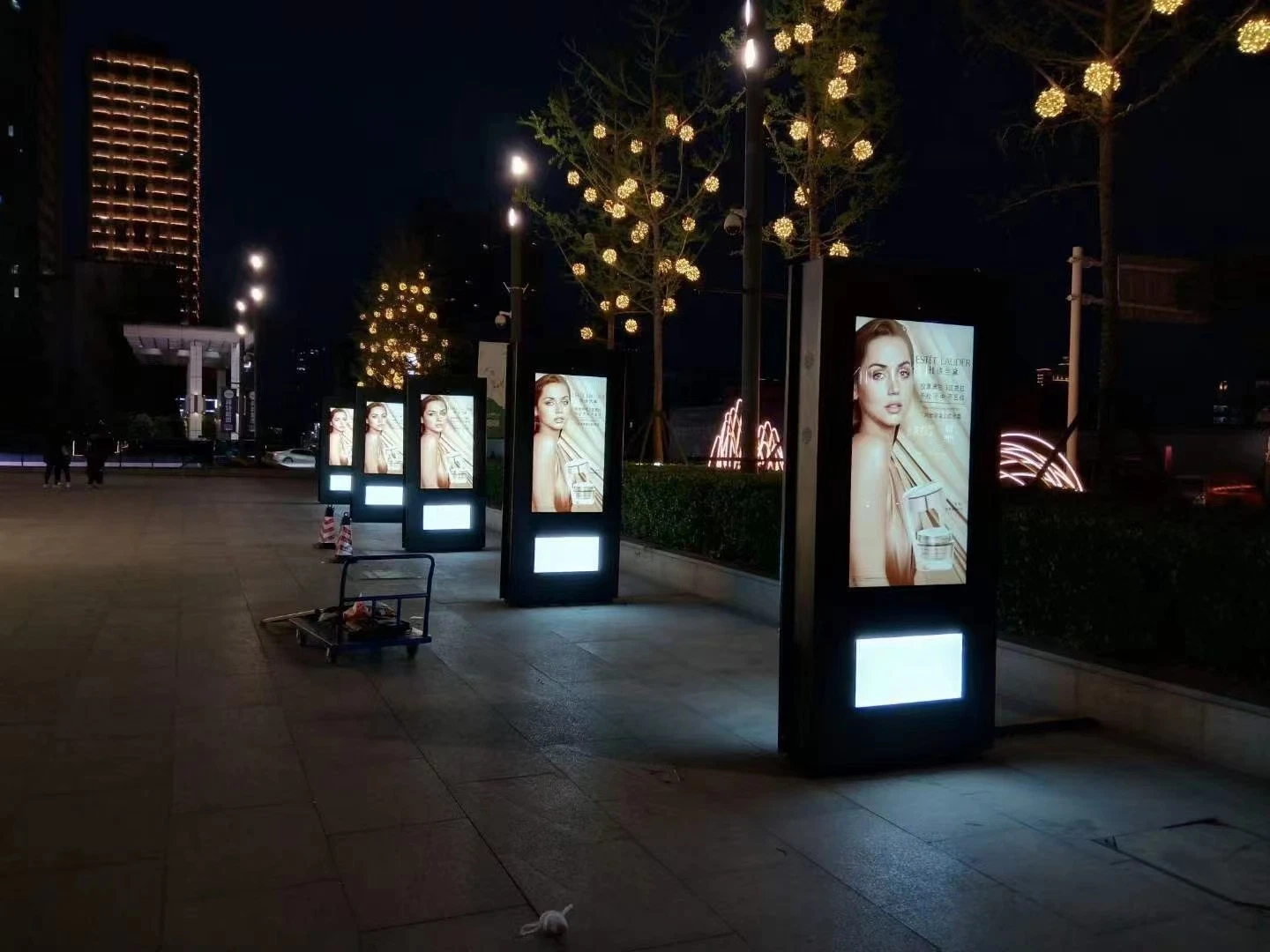 Waterproof IP65 49'' Outdoor Touch Kiosk with Wins