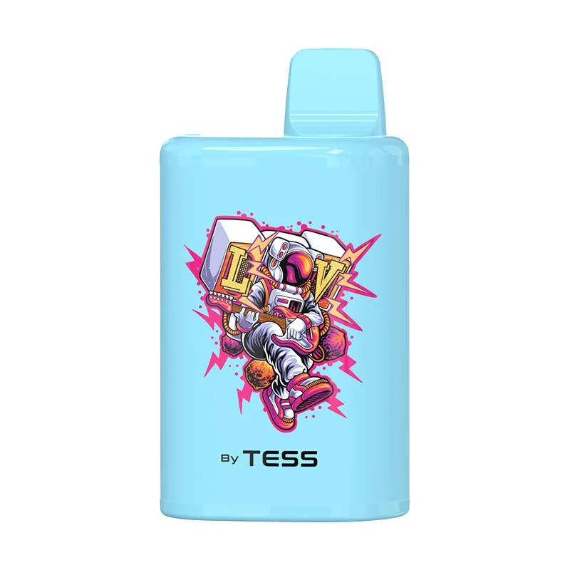 Tess Wholesale/Supplier VAPE barato Disposable/Chargeable Electronic Cigarette 6000 Puff