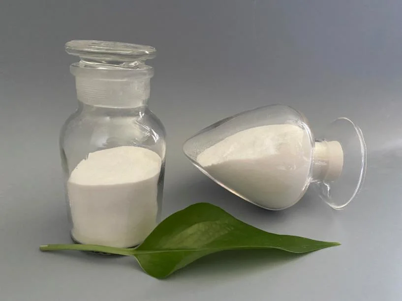 Hydroxypropyl Methylcellulose in Construction Coating Ceramics and Other Industries