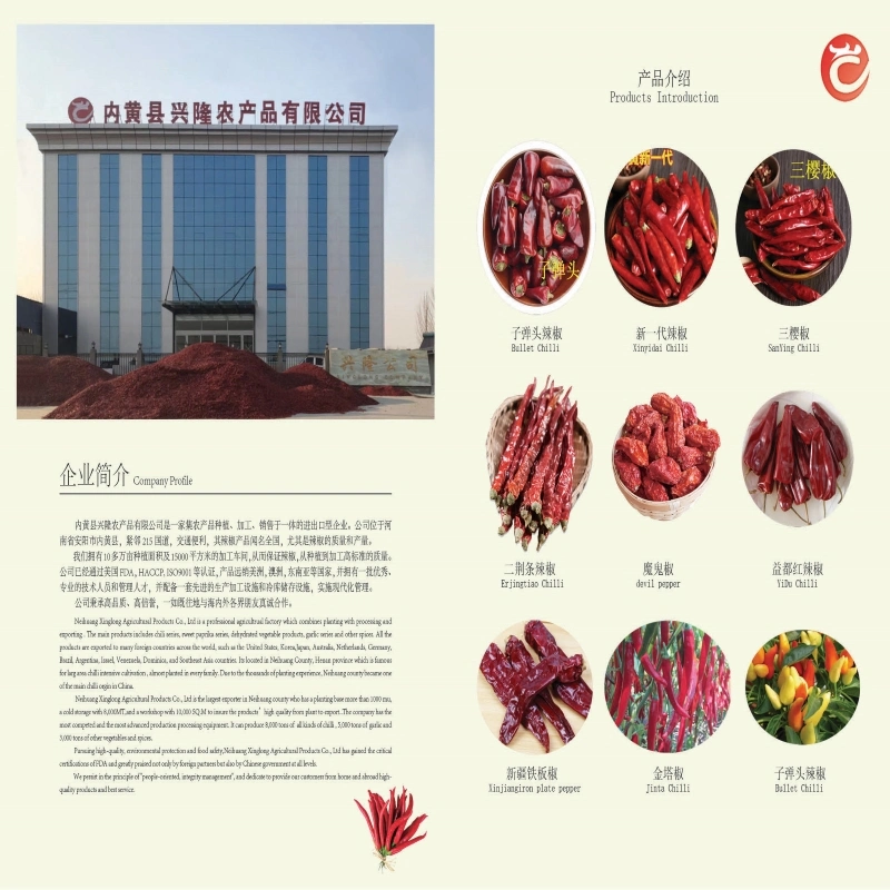 Tianjin Chili/Tientsin Chilli/Tianying Chili From Hehan Plant Base