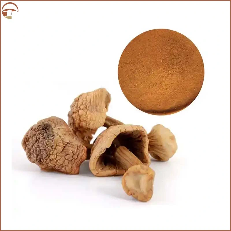 HACCP ISO Certified Agaricus Blazei Extract Mushroom Powder Mushroom Extract for Improve Body Immunity