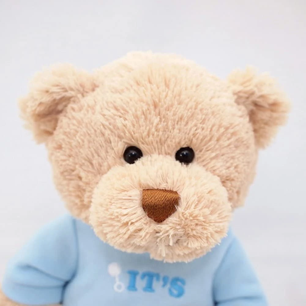 La promoción de felpa suave Osito de peluche personalizado mono de peluche juguete en la mascota del suéter niños Toy BSCI Sedex ISO9001