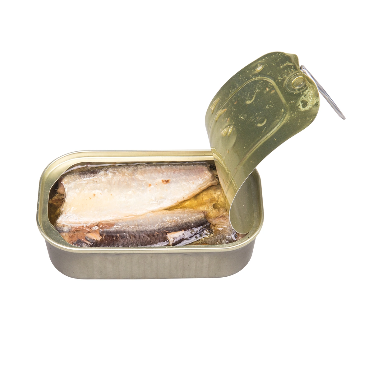 Canned Sardine Pilchard in Oil Supplier