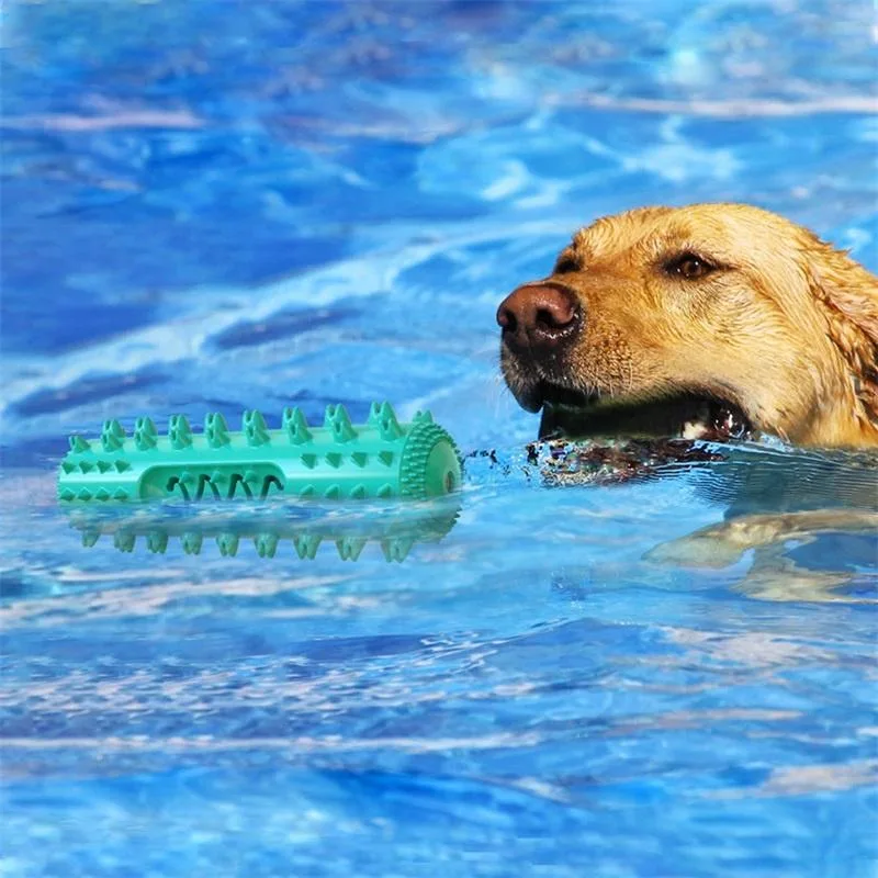 Classic Cão resistente a água da escova de dentes cuidados dentários suprimentos