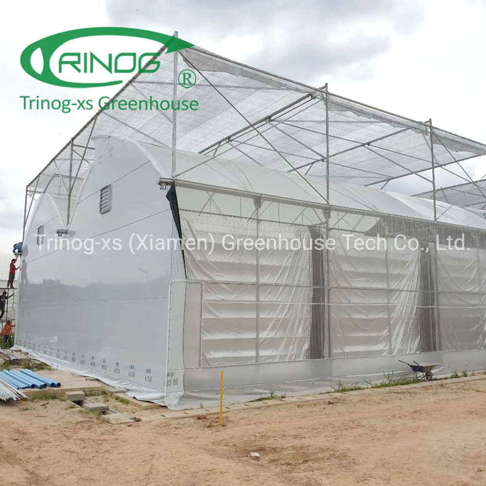 Trinog Greenhouse agricultural used 3 layers blackout shading Light DEP screen system greenhouse with gothic roof