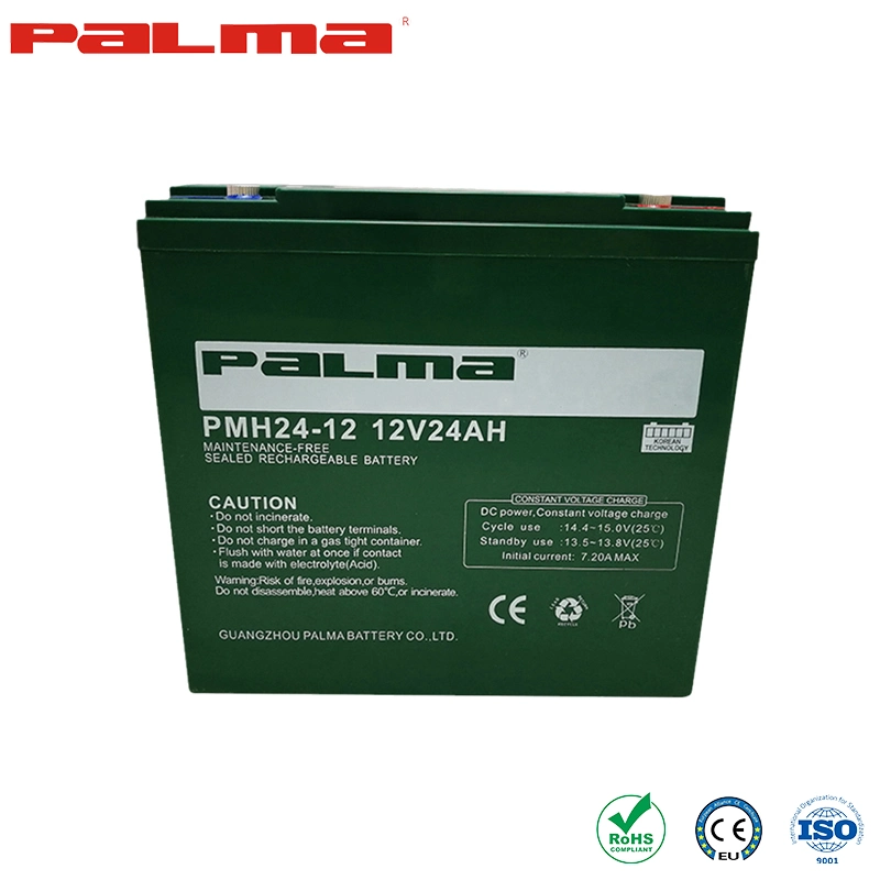 Palma AGM/Gel Battery Ebike Battery Original Factory 12V20ah Electric Vehicle Batteries