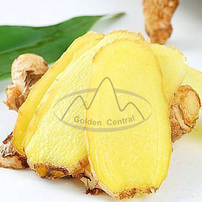 Hot Sale Fresh New Crop Yellow Fresh Ginger